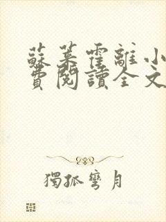 苏莱霍离小说免费阅读全文