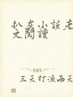 扒灰小说老马全文阅读