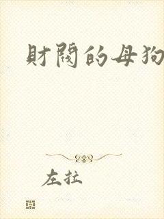 财阀的母狗们