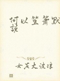 何以笙箫默 小说