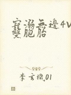 宠溺无边4V2双胞胎