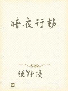 暗夜行动