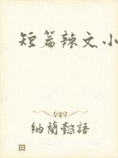 短篇辣文小说