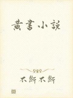 黄书小说