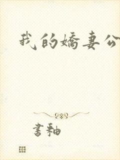 我的娇妻公务员