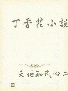 丁香花小说