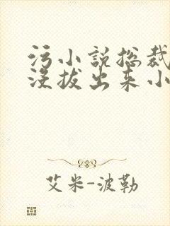 污小说总裁整夜没拔出来小说在线阅读