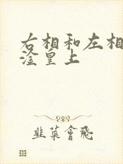 右相和左相一起淦皇上