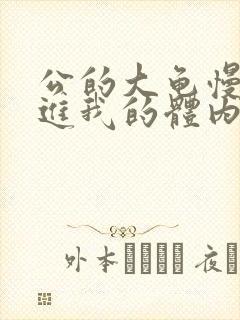 公的大龟慢慢挺进我的体内