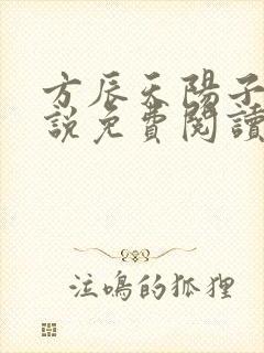方辰天阳子的小说免费阅读