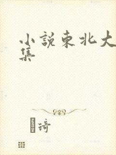 小说东北大炕全集