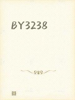 BY3238