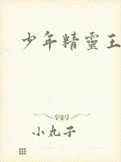 少年精灵王