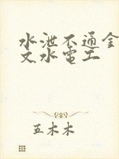 水泄不通金银原文水电工