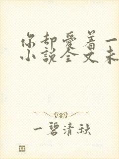 你却爱着一个他小说全文未删减免费