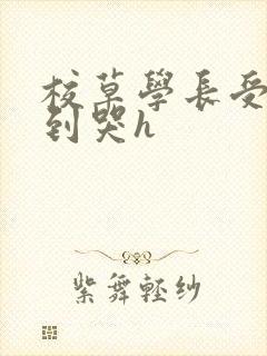 校草学长受被做到哭h