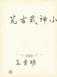 荒古武神小说