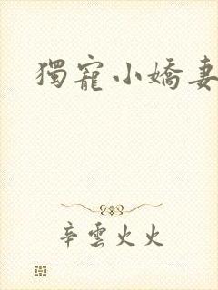 独宠小娇妻