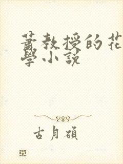 萧教授的花式教学小说