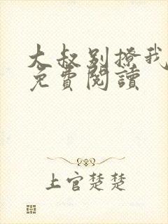 大叔别撩我小说免费阅读