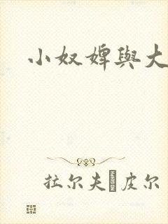 小奴婢与大少爷