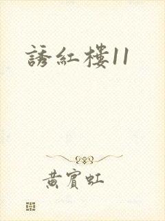 诱红楼11