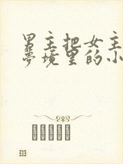 男主把女主拖进梦境里的小说