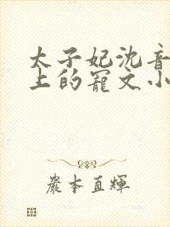 太子妃沈音和皇上的宠文小说