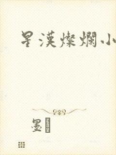 星汉灿烂小说