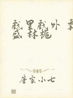 戏里戏外 季淮盛 林栀