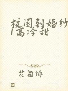 校园到婚纱1V1高冷甜