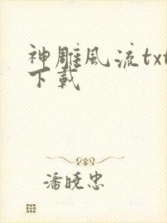 神雕风流txt下载