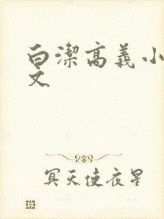 白洁高义小说全文