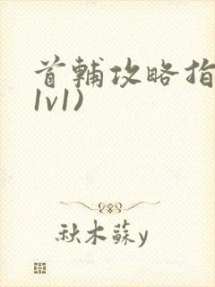 首辅攻略指南(1v1)