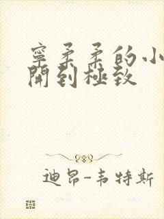 宁柔柔的小泬撑开到极致