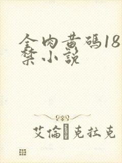 全肉黄码18无禁小说