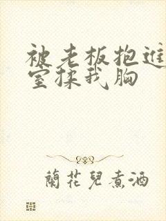 被老板抱进办公室揉我胸