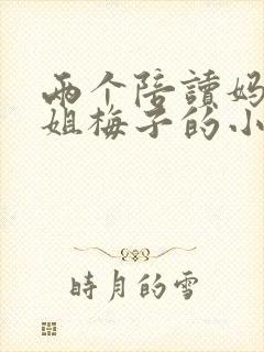 两个陪读妈妈赵姐梅子的小说