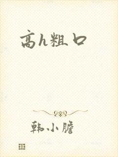 高h粗口