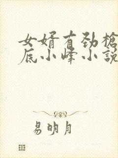 女婿有劲枪枪到底小峰小说