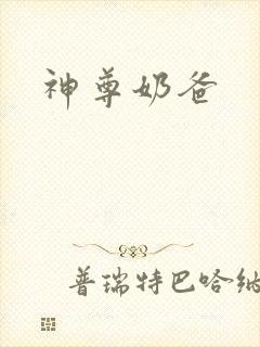 神尊奶爸
