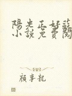 阳光正好苏玥玥小说免费阅读无弹窗