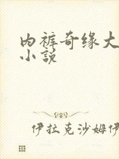 内裤奇缘大团结小说