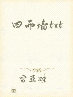 四面墙txt