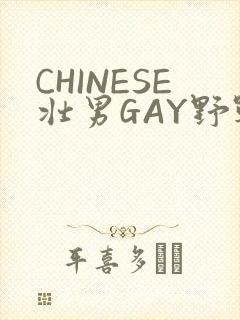 CHINESE壮男GAY野战强迫TUBE