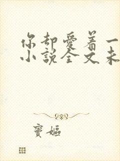 你却爱着一个他小说全文未删减免费