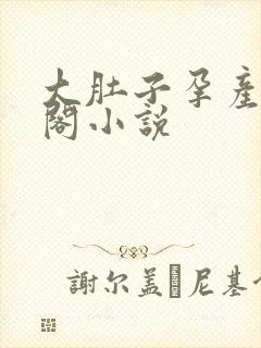 大肚子孕产笔趣阁小说