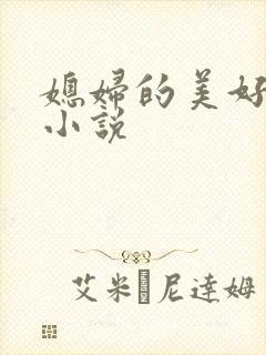 媳妇的美好时代小说