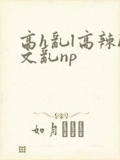 高h乱l高辣h文乱np