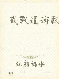 武战道游戏